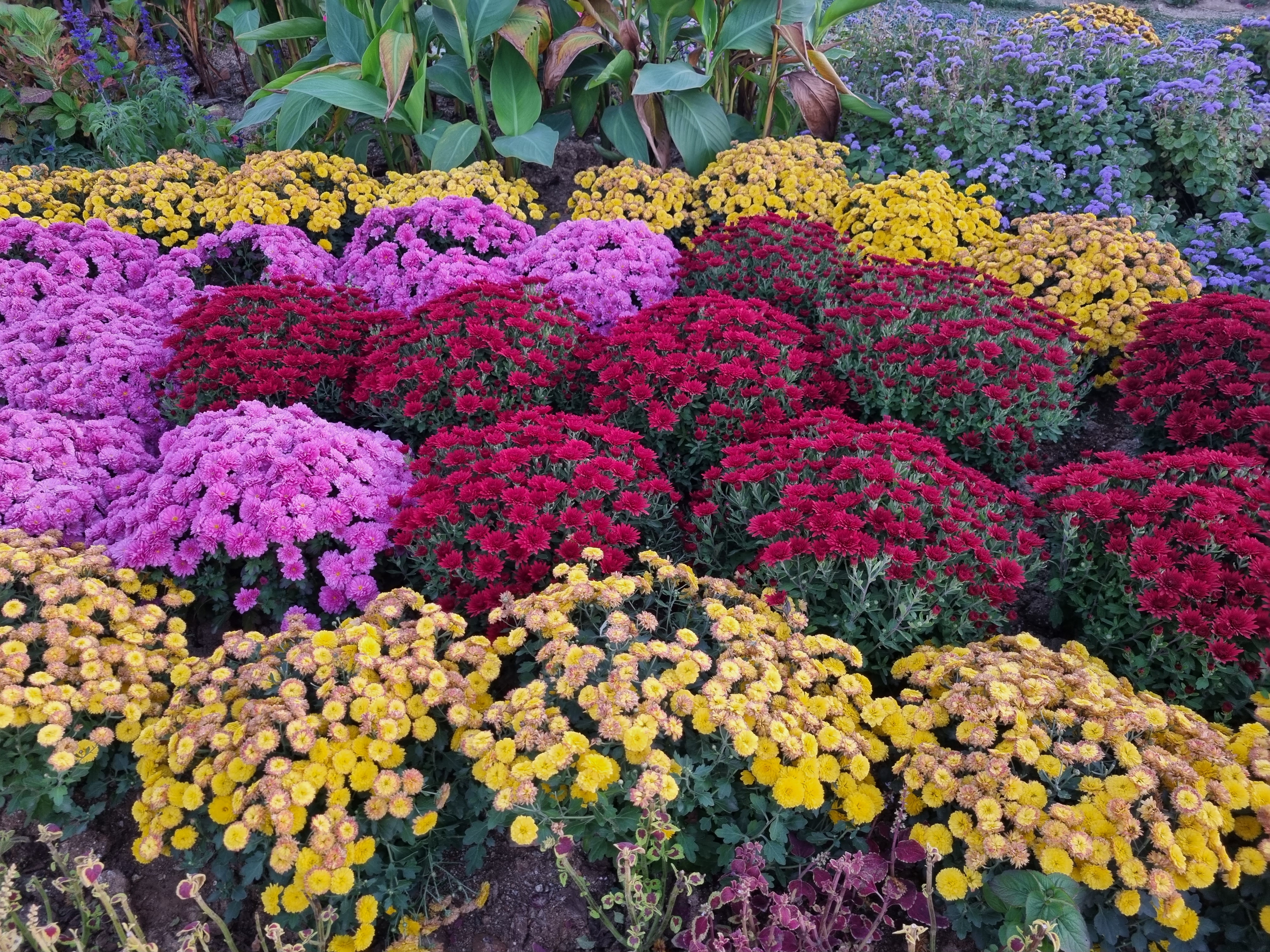 순천만 국가정원 관련 사진