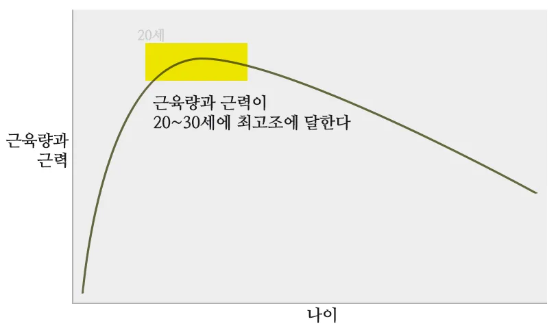 나이-증가에-따른-근육량과-근력-감소-그래프