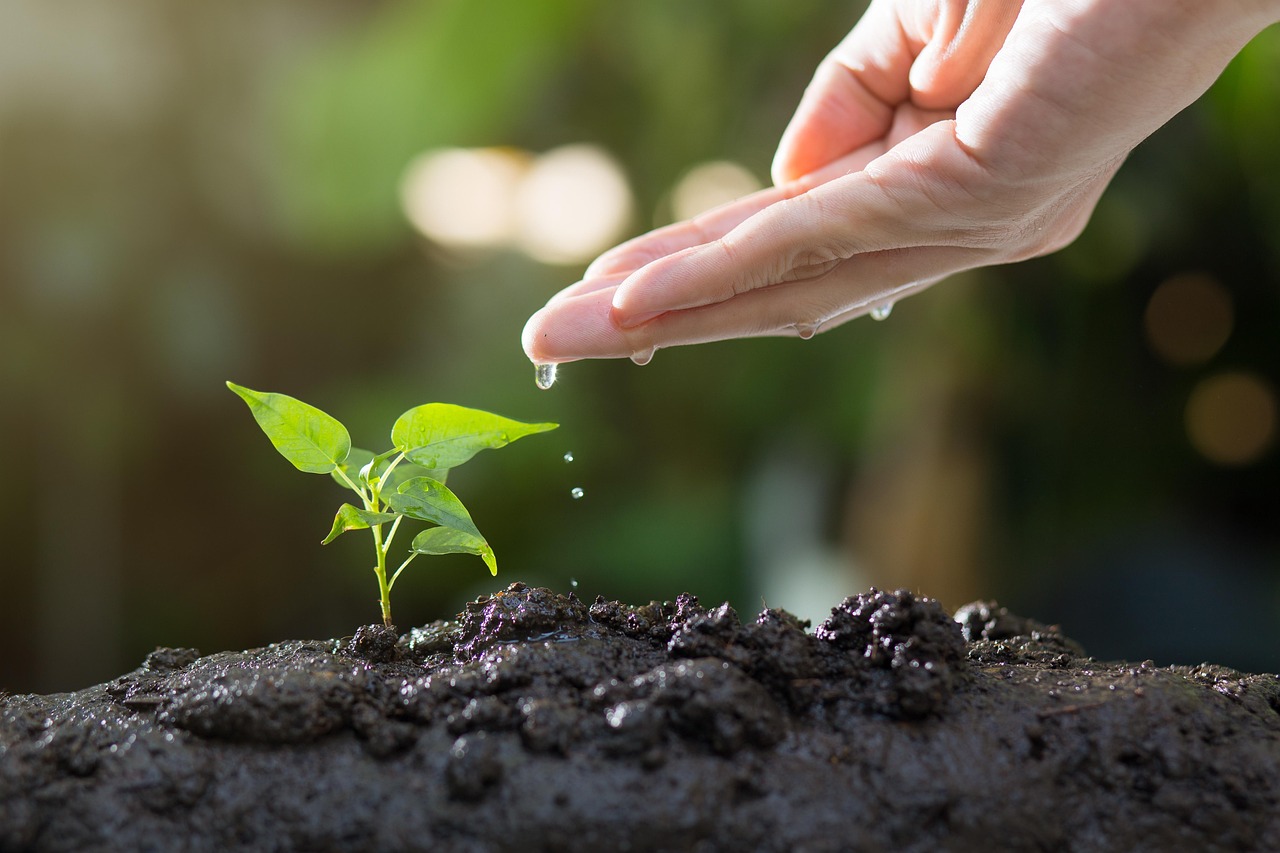 불교 사찰의 정치적 중립성, 가능할까?