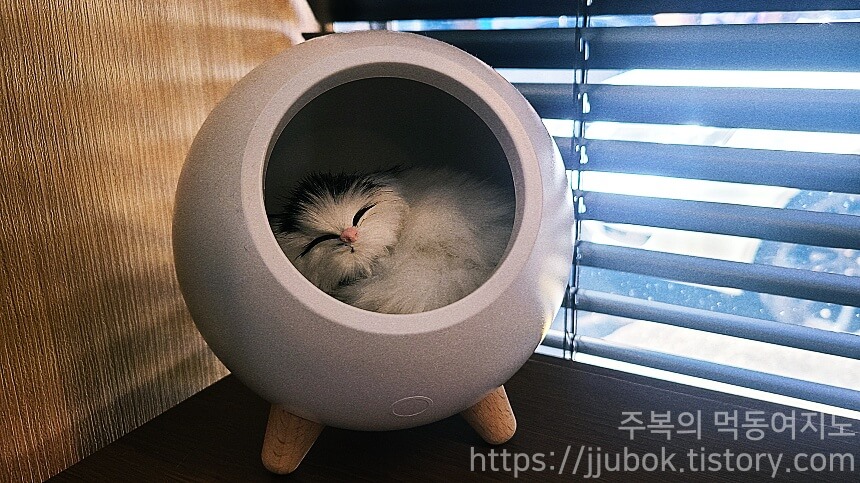 고쉐프의-신선한-초밥-악세사리