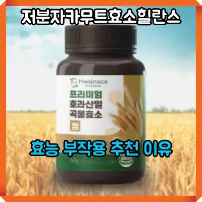 저분자카무트효소힐란스