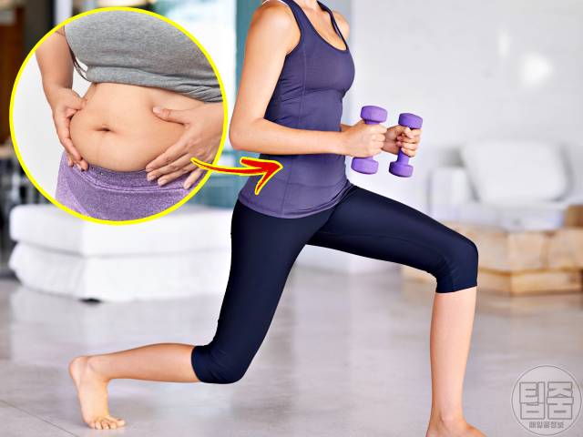 올챙이뱃살 빼는법 올챙이배 빼기 내장지방