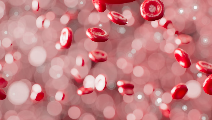 아르기닌 효능 : 면역력 증진