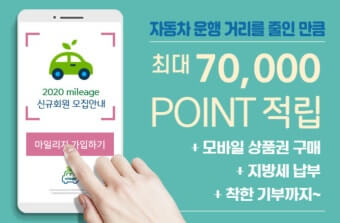 서울시 승용차 마일리지