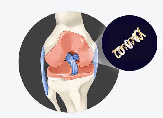 콘드로이친 1200mg 효능&amp;#44; 부작용&amp;#44; 복용법