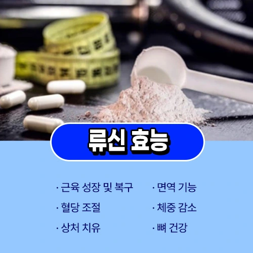 류신 효능