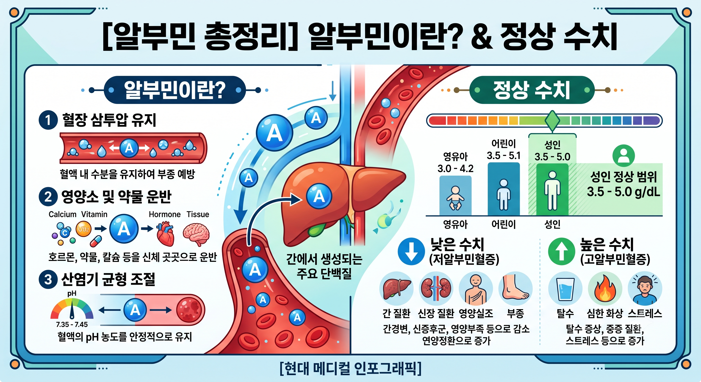 알부민이란
