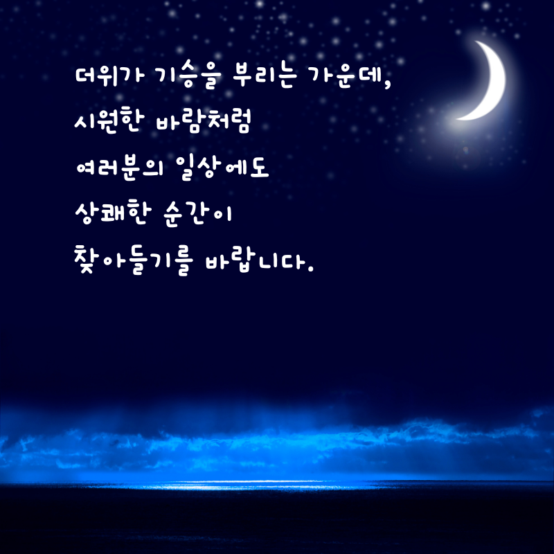 8월 인사말 카톡 문자 메세지 안부 이미지 모음집