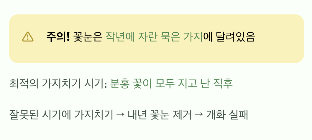 풍성한 꽃을 위한 단 하나의 기술&amp;#44; 가지치기
