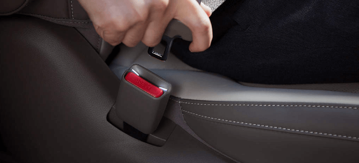 카니발 하이브리드