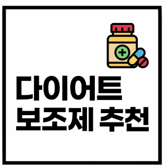 다이어트 보조제 추천