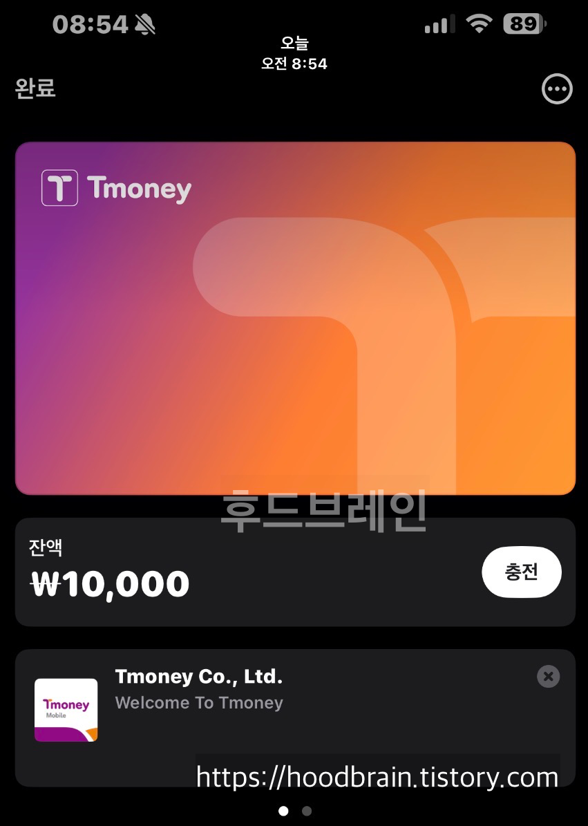 애플페이에 티머니가 등록된 화면