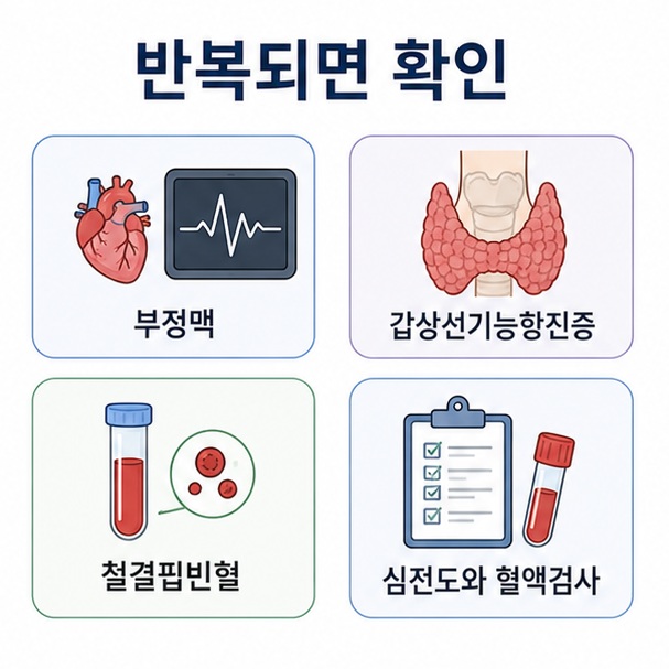 반복되는 심장 두근거림이 있을 때 부정맥과 갑상선기능항진증, 철결핍빈혈 등을 심전도와 혈액검사로 확인하는 모습을 표현한 이미지