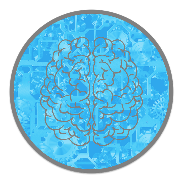 뇌의 유전자 발현과 신경 회로 변화: 환경과 유전자의 상호작용