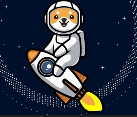 더 오를까? 하락 신호일까?