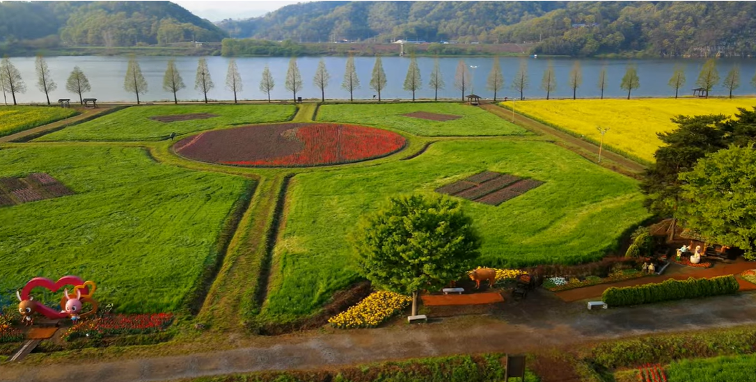 창녕 유채꽃축제.낙동강 유채축제_2023년.행사안내