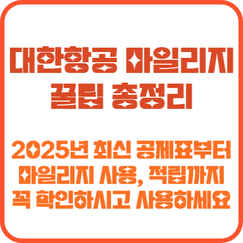 대한항공 마일리지 꿀팁
