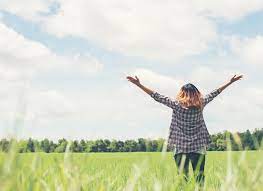 고용촉진장려금