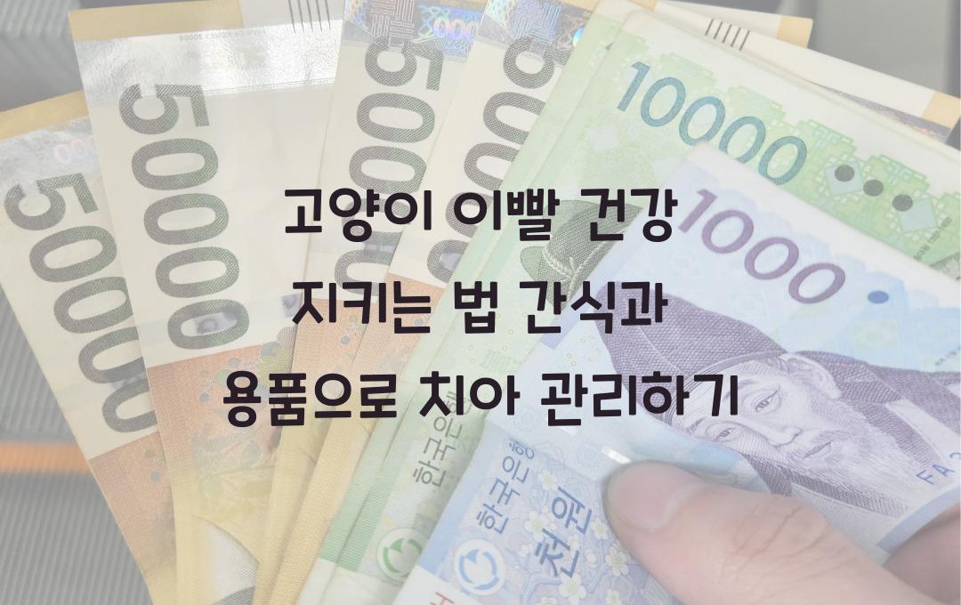 고양이 이빨 건강 지키는 법! 씹을 수 있는 간식 & 용품 추천