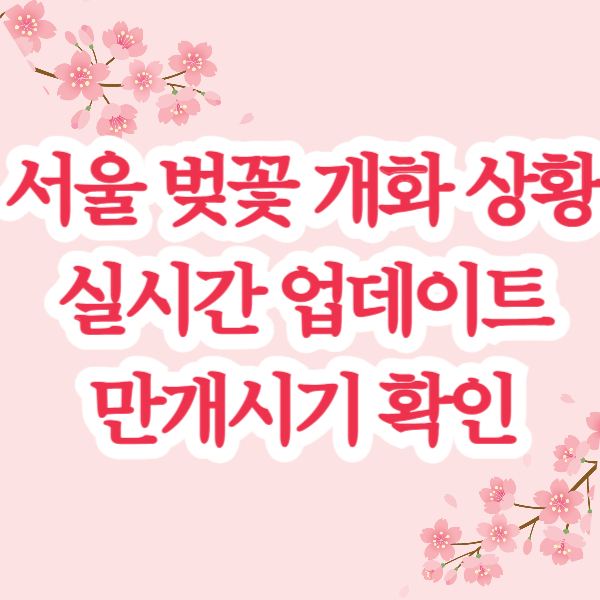 서울 벚꽃 개화시기