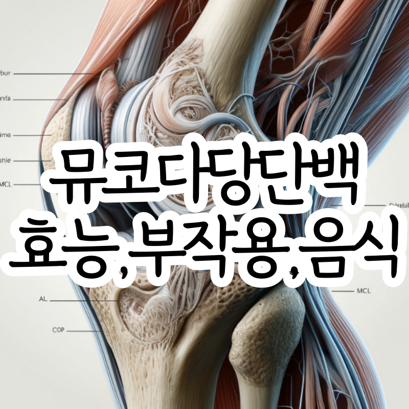 뮤코다당단백 효능 섭취량 부작용 음식