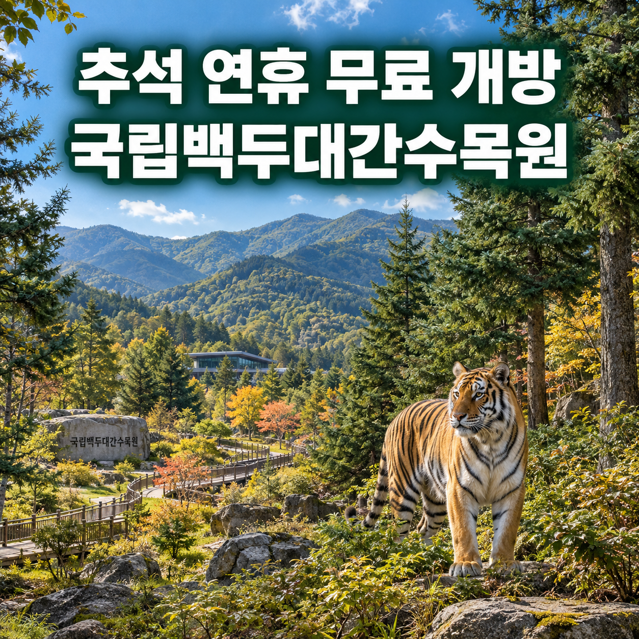 봉화 국립백두대간수목원, 추석 연휴에 무료로가자!｜분비나무와 호랑이숲 여행하고 산타마을까지 가보자!