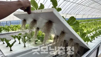 양액 재배 기초 배양액 비율 전기전도도 산도 관리_19