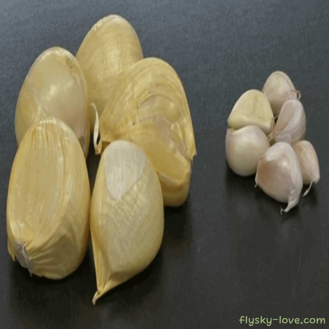 코끼리 마늘 (Elephant Garlic) 활용법