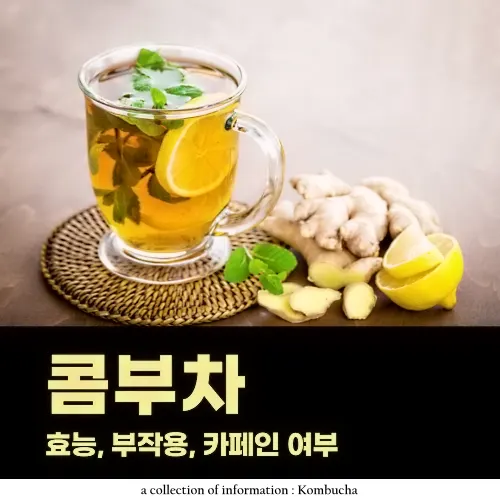 콤부차