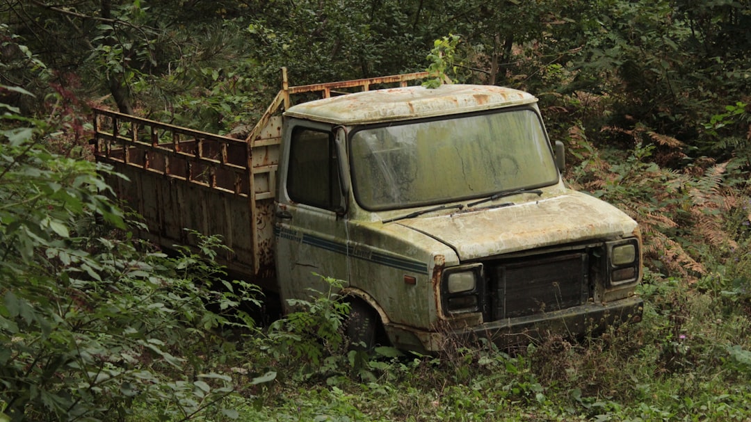 Vehicle.