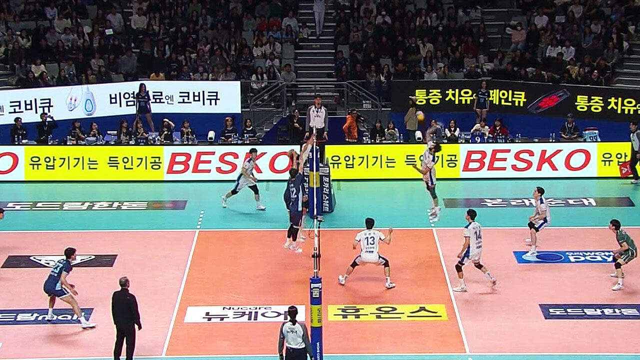 삼성화재 우리카드 배구