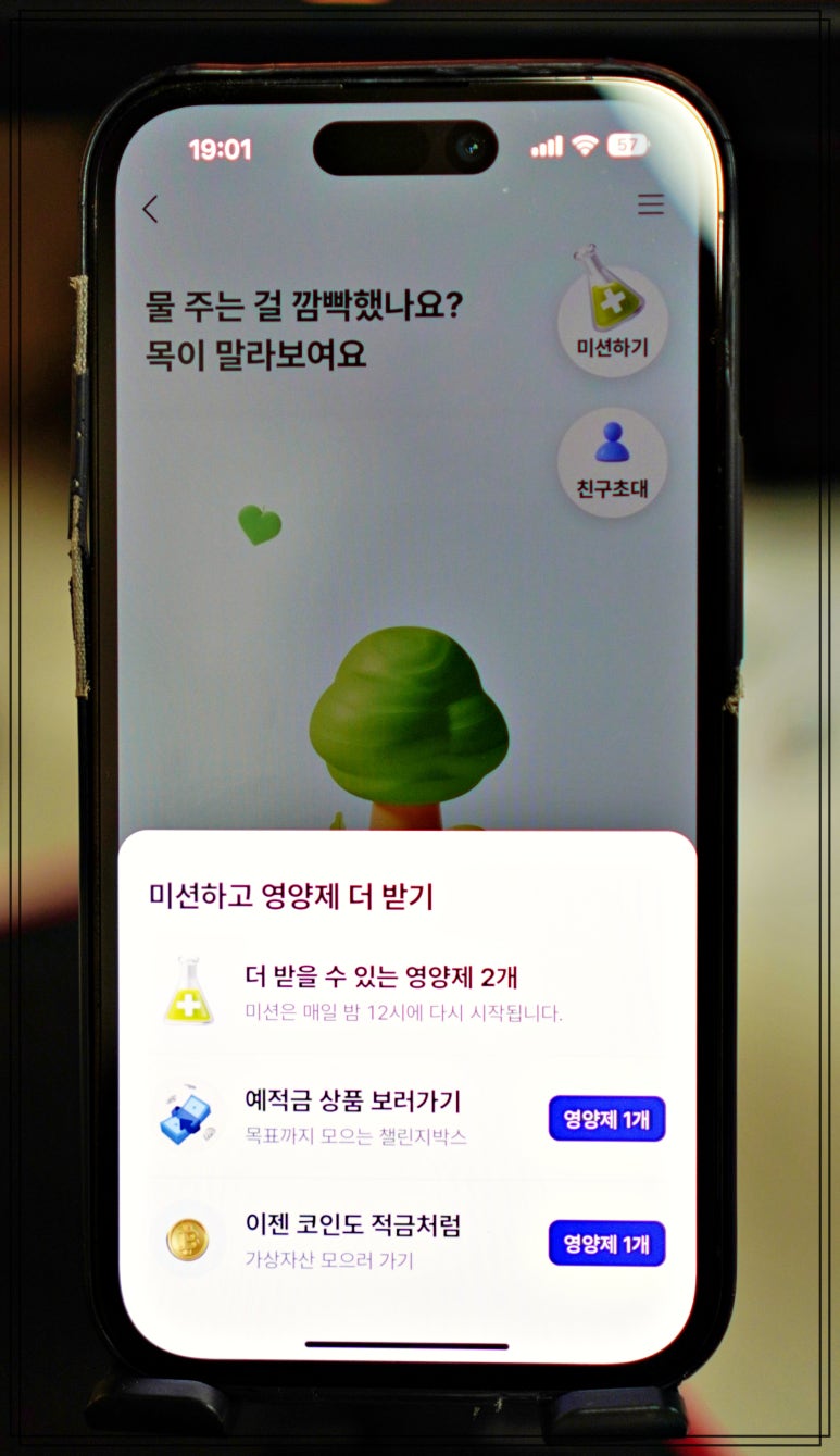 케이뱅크 돈나무 키우기 07