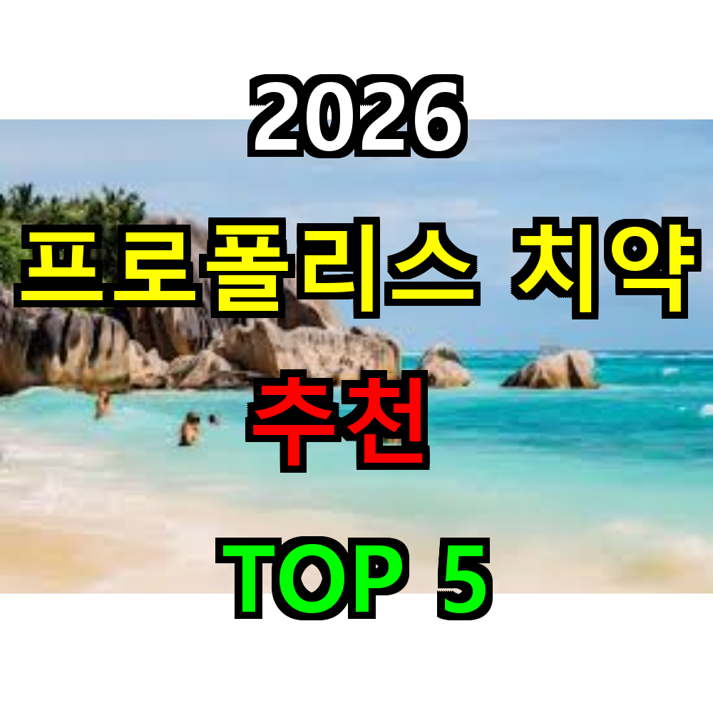 2026 프로폴리스 치약 추천 TOP 5