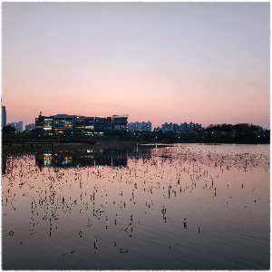 기지제