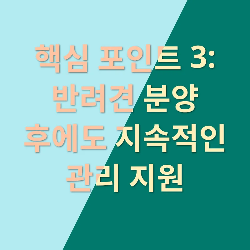반려견 분양_3