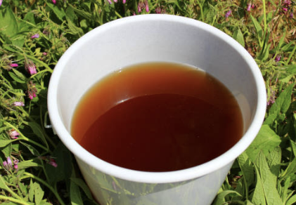 우엉차 효능 9가지 부작용 끓이는법 총정리 (2024)