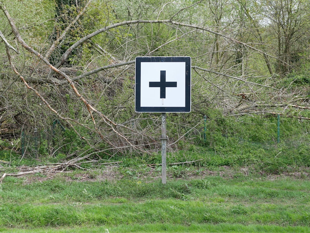 'Plus'