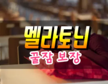 멜라토닌7