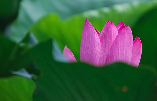 광주은행 모바일프라임론 2