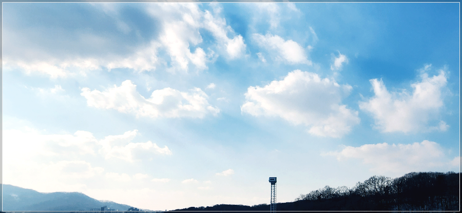 율동공원-나폴레옹-제과점