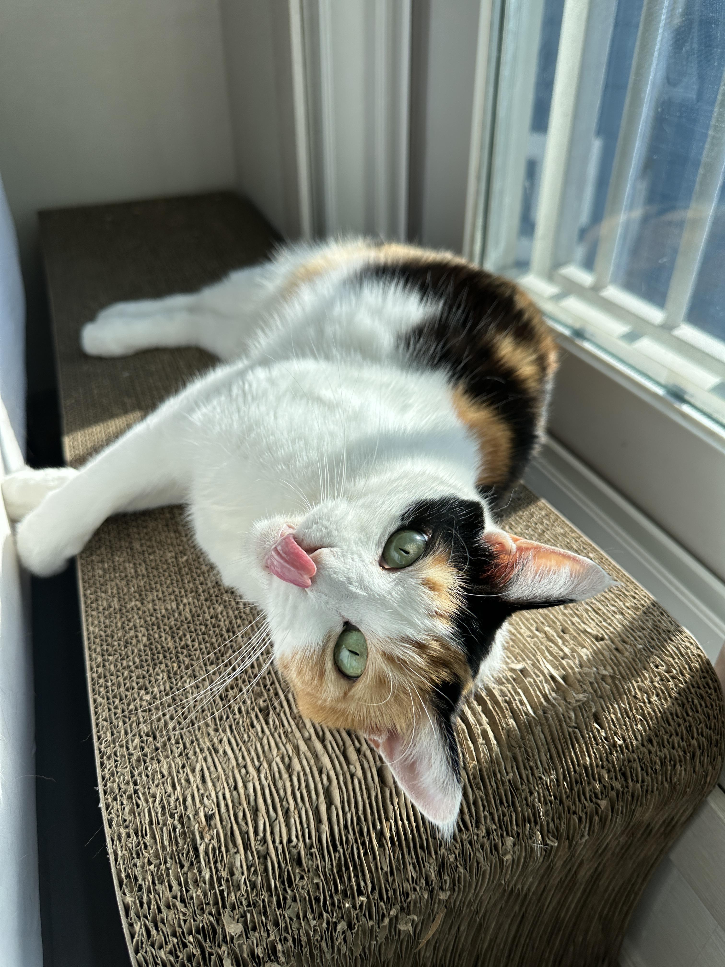 스크래쳐에_누워서_낼릅_하면서_엄마랑_아이컨택