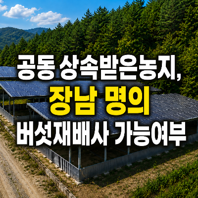 공동 상속 농지, 장남 명의 버섯재배사 신축