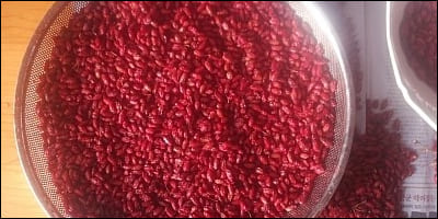 물로 깨끗하게 씻은 산수유