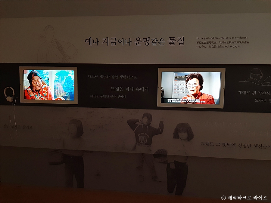 해녀의시