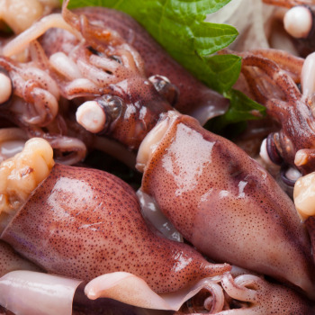 오징어 삶는 방법