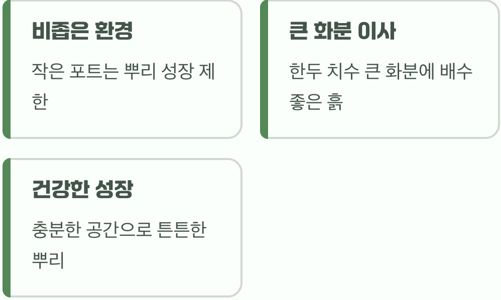 두 번째 과제, 작은 임시 거처에서 넓은 집으로