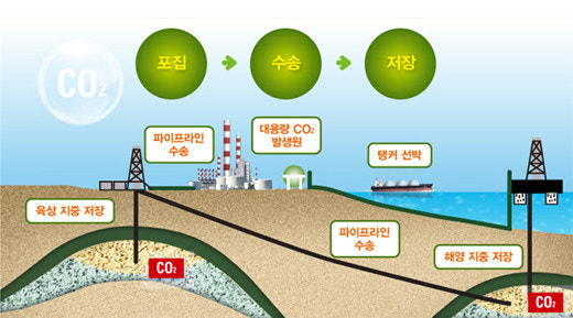 탄소 사진