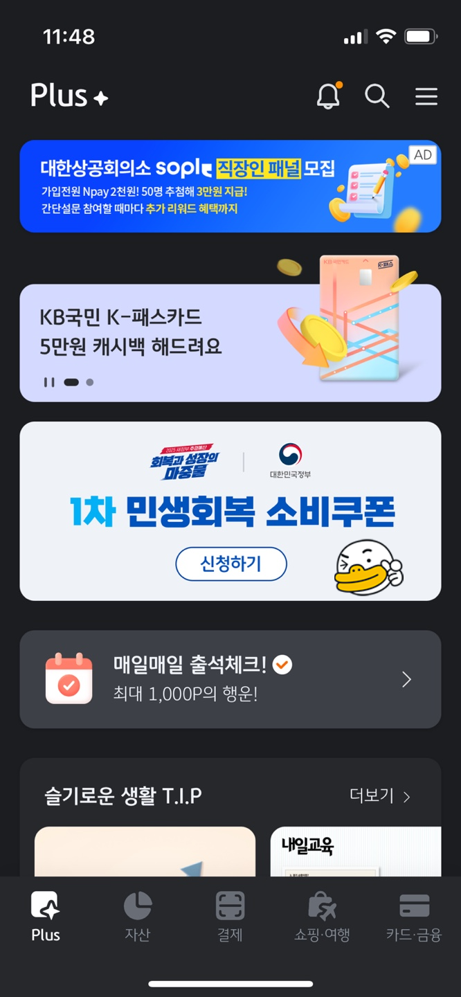 kb 국민 카드 민생 회복 국민 카드 신청2