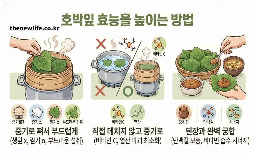 호박잎 효능 높이는 요리