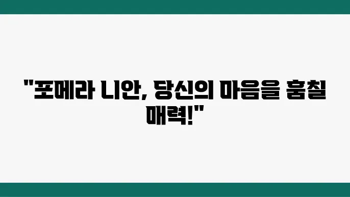 사람과 재미있게 놀고 있는 포메라니안